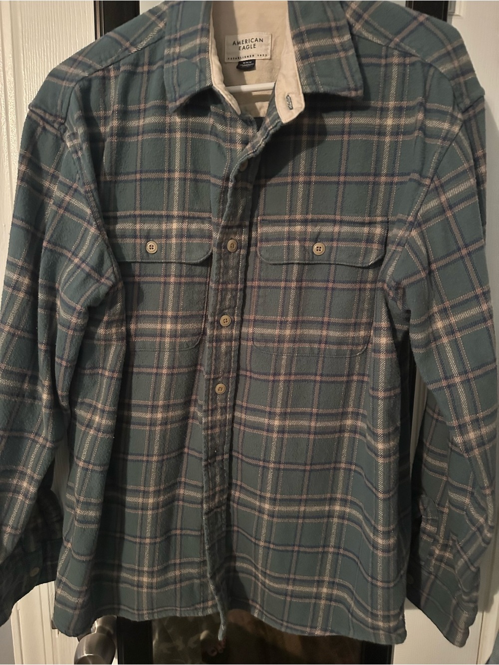 American Eagle Outfitters Teal and Cream Plaid Button-Down Shirt